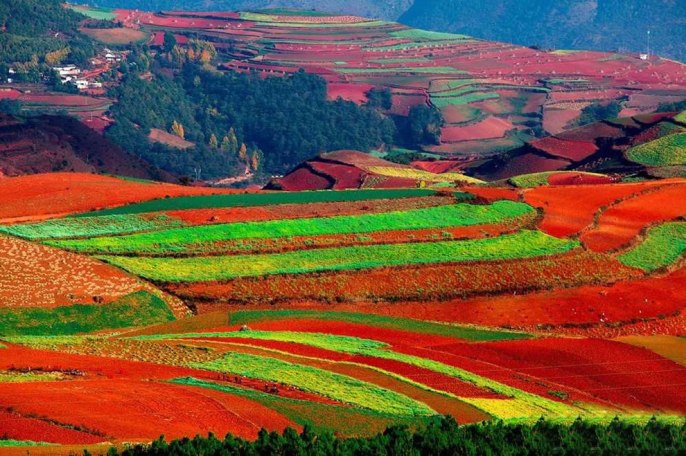 beautiful-red-land-in-china