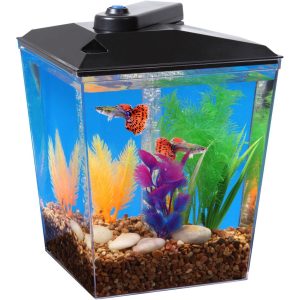glofish-gallon-aquarium-kit-with-hood-leds-and-whisper-filter-beautiful-walmart-fish-finder-photo-concept-hummingbird-finders-1092x1092